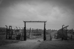 Auswitch-Birkenau